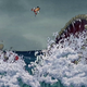 Imagen: Disney Wikia